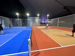 -Our Pickleball多多动匹克球俱乐部(世博源店)