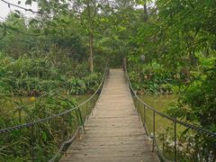 -桤木河湿地公园