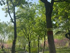 -石家庄市植物园