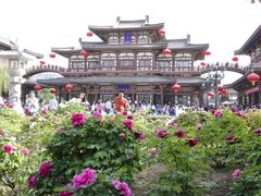-西安青龙寺遗址景区