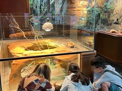 -帕帕拉兹宠物(亚洲旗舰店)