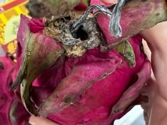 -大润发(东关世茂店)