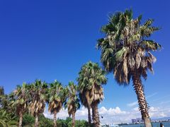 -滇池海埂公园