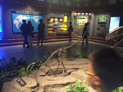 -自贡恐龙博物馆