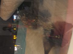 -御宝贝24h宠物医院·转诊中心·CT核磁血透中心(厦门总院)