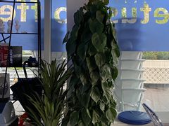 -Cetus coffee鲸鱼座咖啡·拼豆(二仙桥公园店)