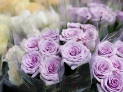 -循礼门鲜花花市(武汉循礼门店)