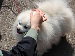 -前门(地铁站)