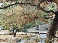 -会宾园·云山宴中餐