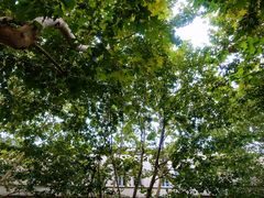 -常熟路(地铁站)