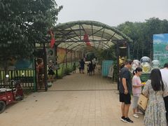 -草根堂农场