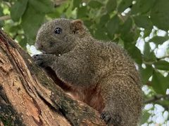 -水巷子·巴掌腰片重庆火锅(云纺店)