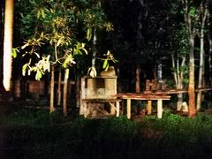 -清迈夜间动物园