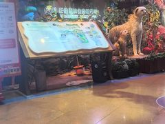 -正佳雨林生态植物园