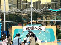 -海合安成都极地海洋公园