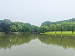 -上海方塔园