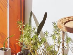 -AHAVA·Fang Baking Studio