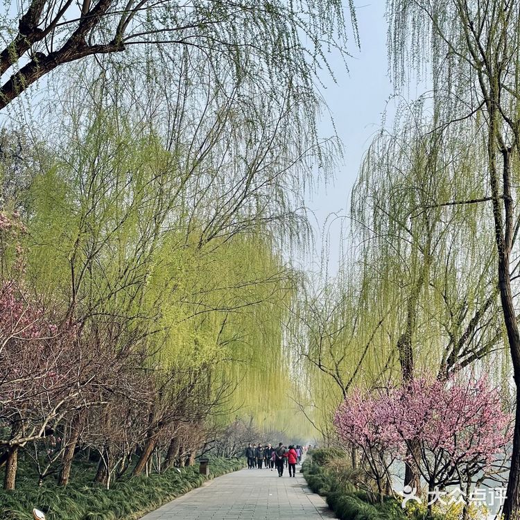 扬州瘦西湖最佳摄影机位看这里❗️❗️