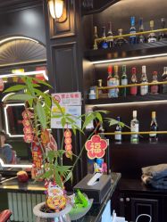 -豪帅男士理容馆