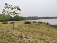 -盘龙城国家考古遗址公园