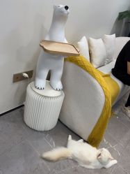 -元一肌肤管理中心