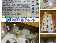 -上海大自然野生昆虫馆