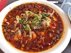 -新繁老號豌豆汤饭店·江湖菜(宝光寺店)