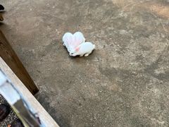 -吉姆冒险世界(蓟州店)