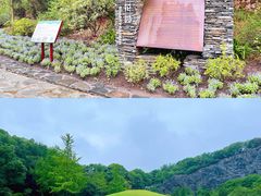 -上海辰山植物园