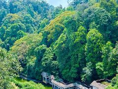 -云南屏边大围山国家公园