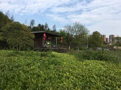 -白塘生态植物园