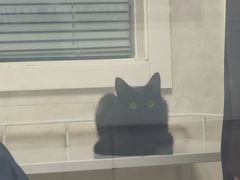 -酷宠动物医院(天通西苑店)