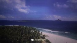 -翱翔飞越地平线