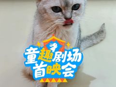 -三花喵·撸猫购宠·宠物生活馆(虹桥南丰城店)