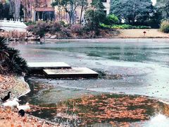 -河南省黄河迎宾馆