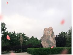 -绿堤公园