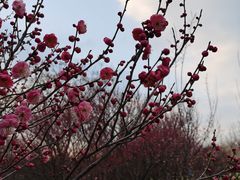 -蜀冈西峰生态公园