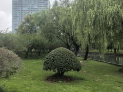 -中央公园(苏州工业园区)