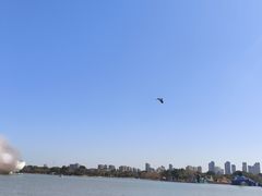 -东湖景区