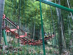 -藏龙百瀑风景区