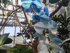 -北京植物园-展览温室