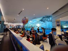 -帝企鹅自助餐厅•儿童岛•真企鹅(长隆企鹅酒店)