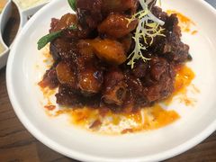 -北京老铺烤鸭(高新店)