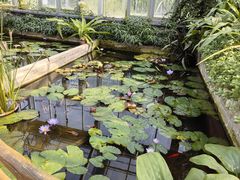 -国家植物园南园