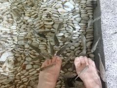 -明谷行馆·温泉