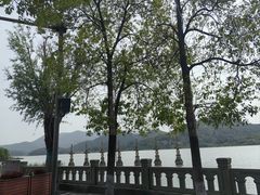-鸣鹤古镇