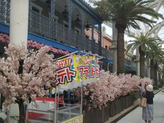 -金悦轩海鲜城(渔人码头店)