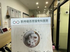 -凯特喵百思猫专科医院