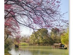 -西溪国家湿地公园