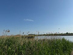 -盐城丹顶鹤湿地生态旅游区